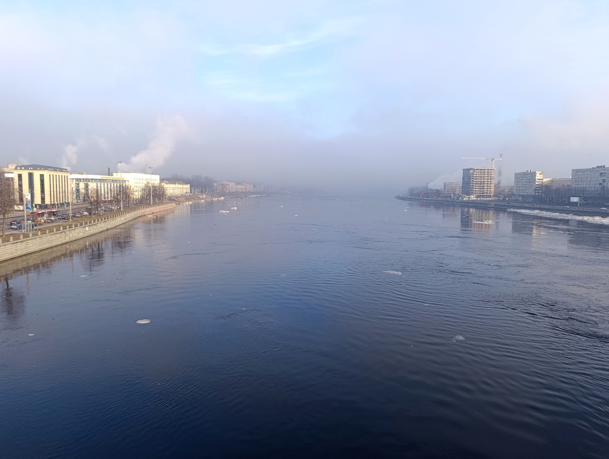 Вид на Неву с Володарского моста.