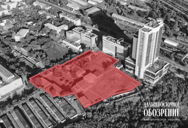 Фото: Вероника Строева