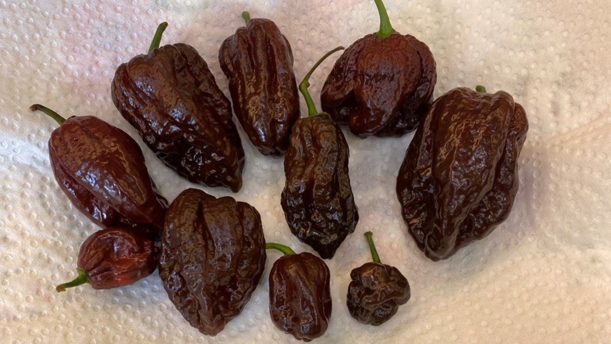 А мы созрели!