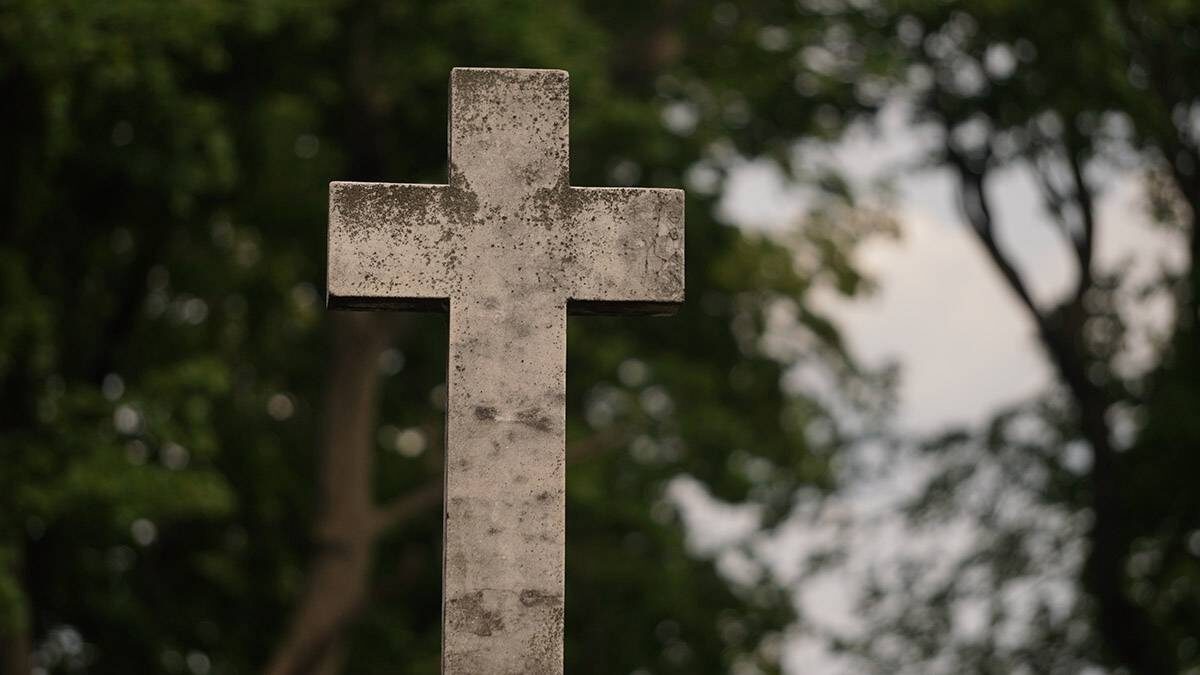    Фото: Анатолий Цымбалюк / Вечерняя Москва