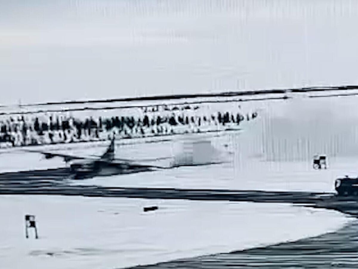 Взметая снехжные вихри за собой.  фото: картинки яндекса.