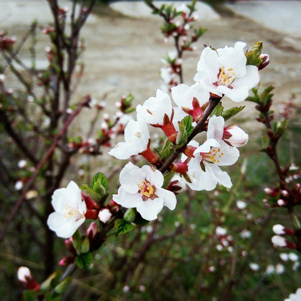 Фото: Екатерина Перфильева