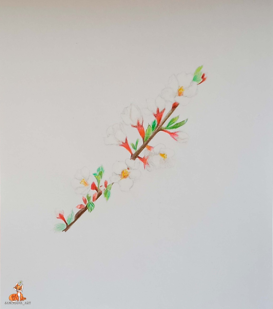 Моя быстрая зарисовка