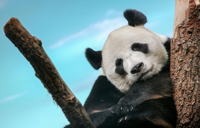    Наталья Шатохина/NEWS.ru