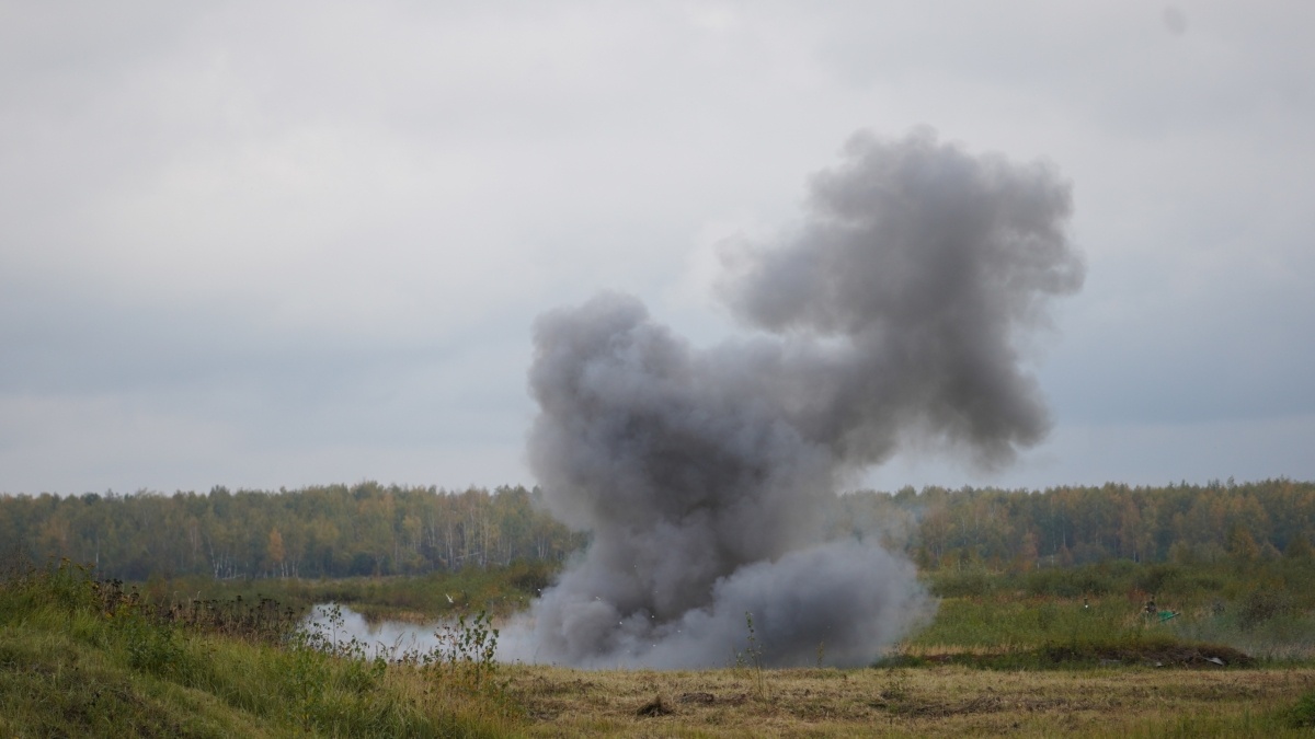 Светлана Мулыкина📷

