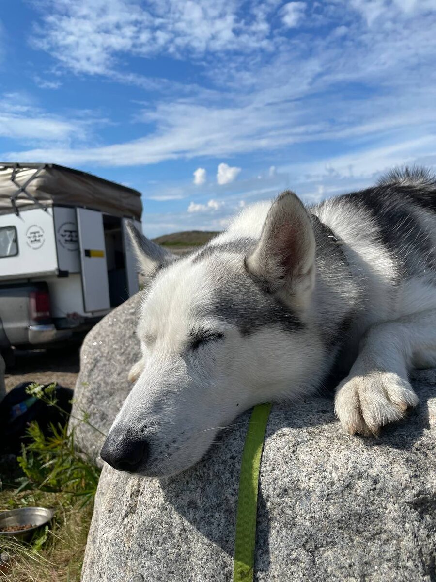 Кемпер в пикап VANwagen iVANhome ( Териберка )