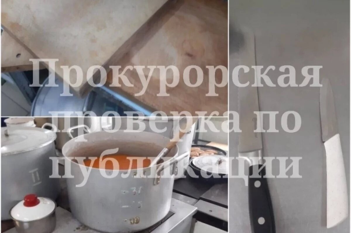    Узловская прокуратура проверила информацию о тараканах в детском саду