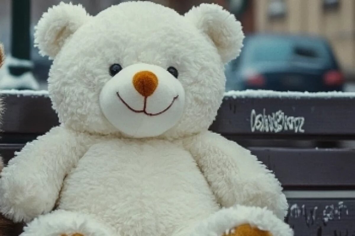    Волгоградец, укравший плюшевого мишку, помог полицейским, попав на камеру