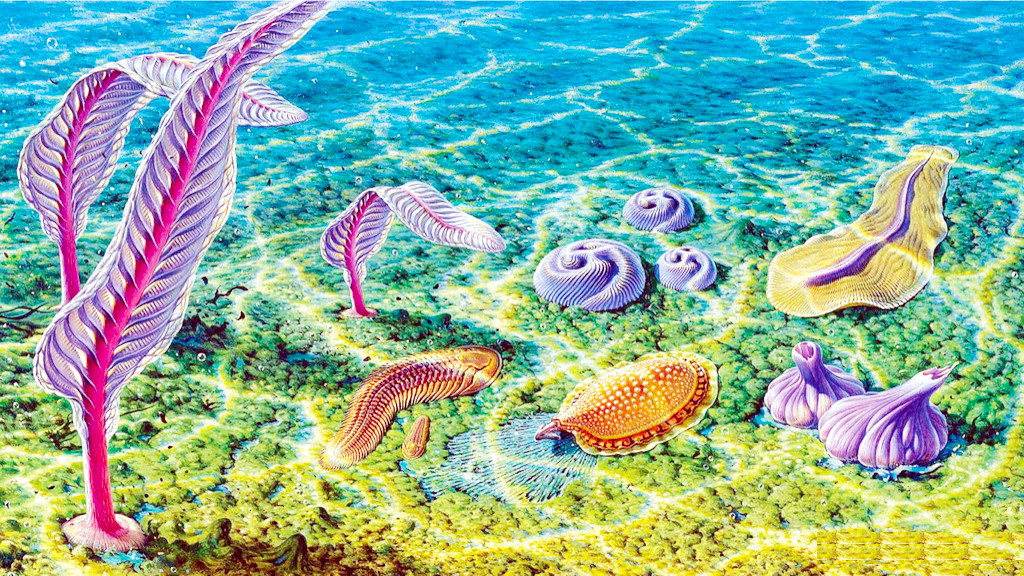 600 миллионов лет назад в морях жили очень странные создания.