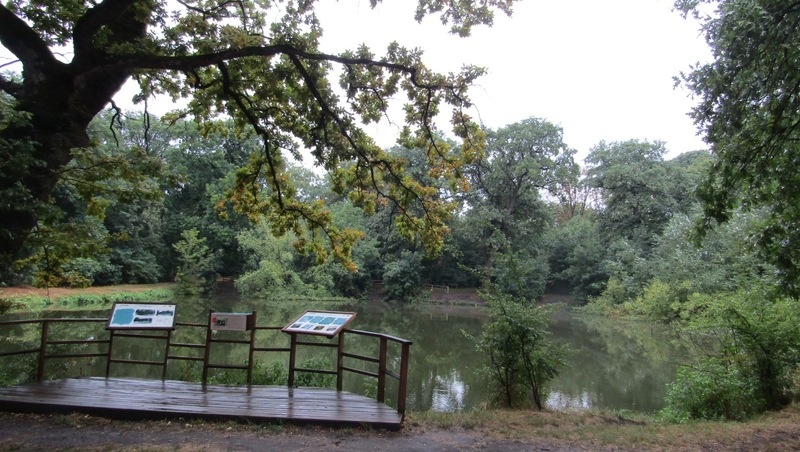      Фото: Минприроды СК