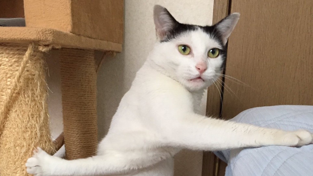 источник Яндекс-картинки