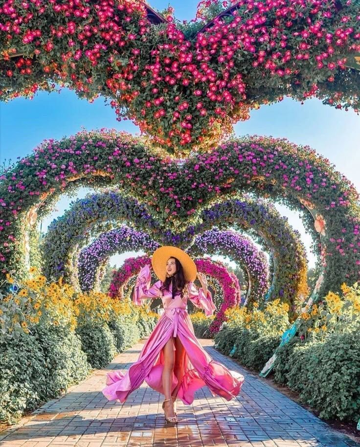 miracle garden дубай