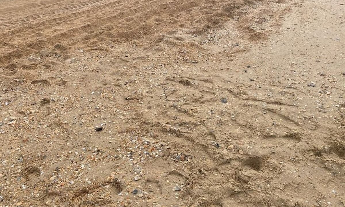    Фото t.me/opershtab23