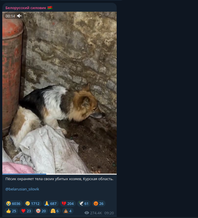    Скриншот: Telegram/"Белорусский силовик"