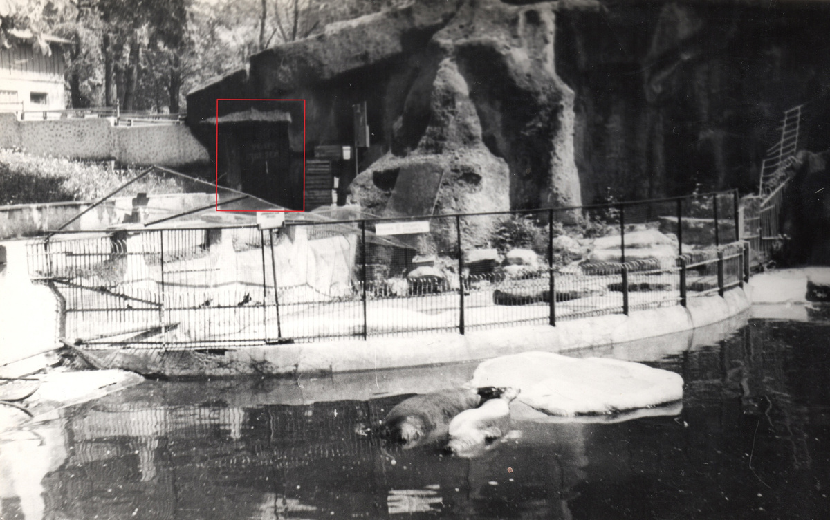 Красной рамкой выделена дверь в тот самый "Театр зверей". Комплекс бассейнов для ластоногих, 1980-е годы.