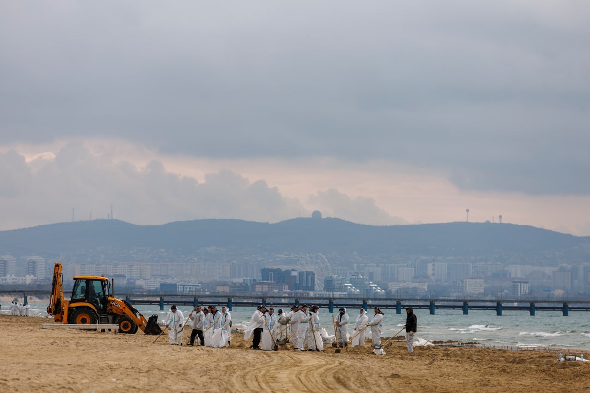 Фото: Telegram/Правительство России  📷
