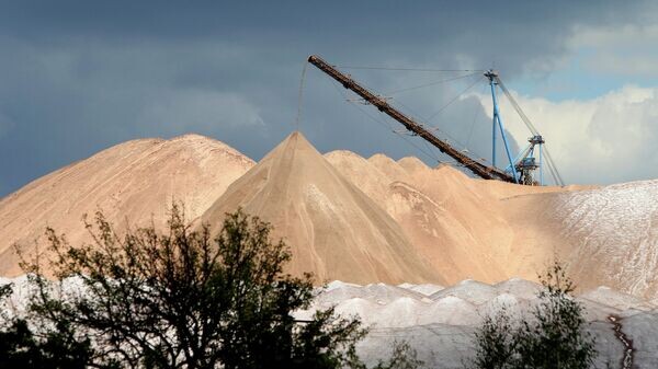    © Sputnik / Егор Еремов