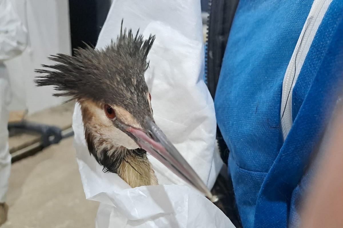    Фото: пресс-служба ТГУ