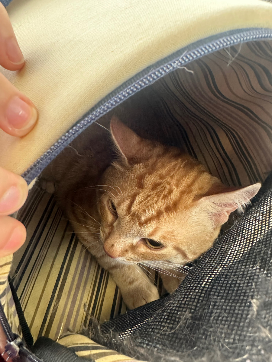 Что меня опять куда-то таскали??! 