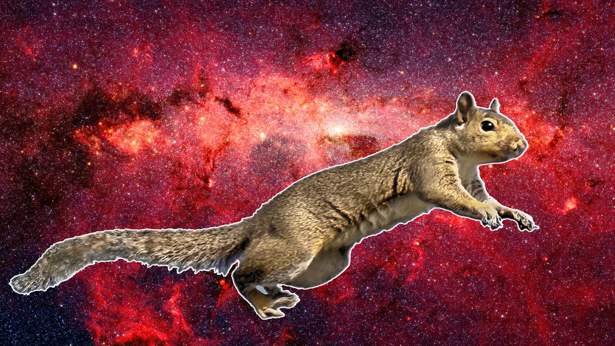 Изображение: Научно-популярный сборник, Getty Images