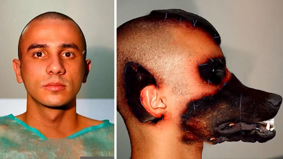 Фото: © Кадры из программы "Как устроен мир", РЕН ТВ