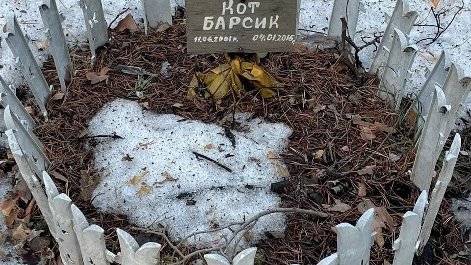     Источник: vk.com Тюмень Онлайн