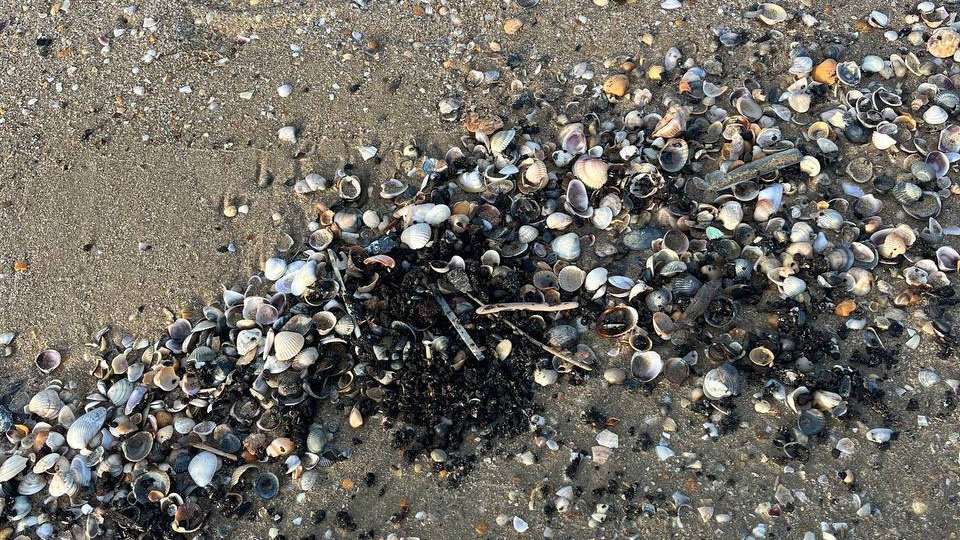    Фото: Оперативный штаб Краснодарского края