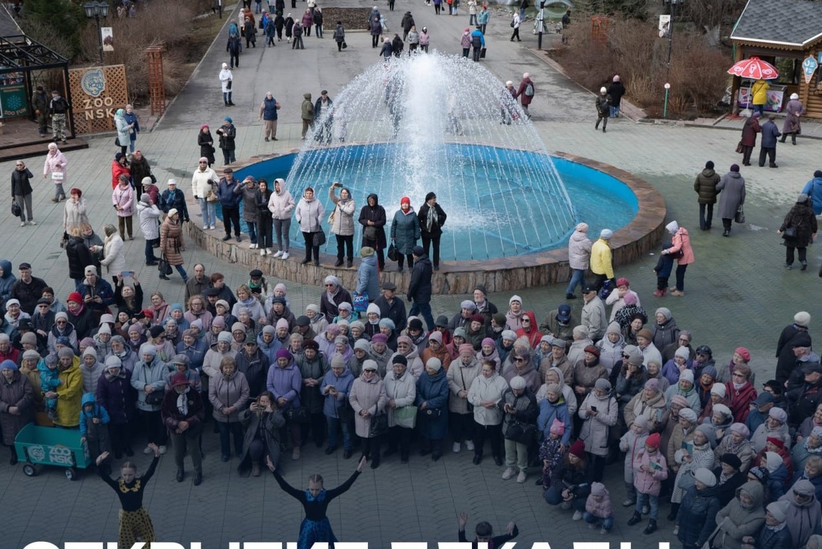    Фото: Новосибирский зоопарк \ Telegram