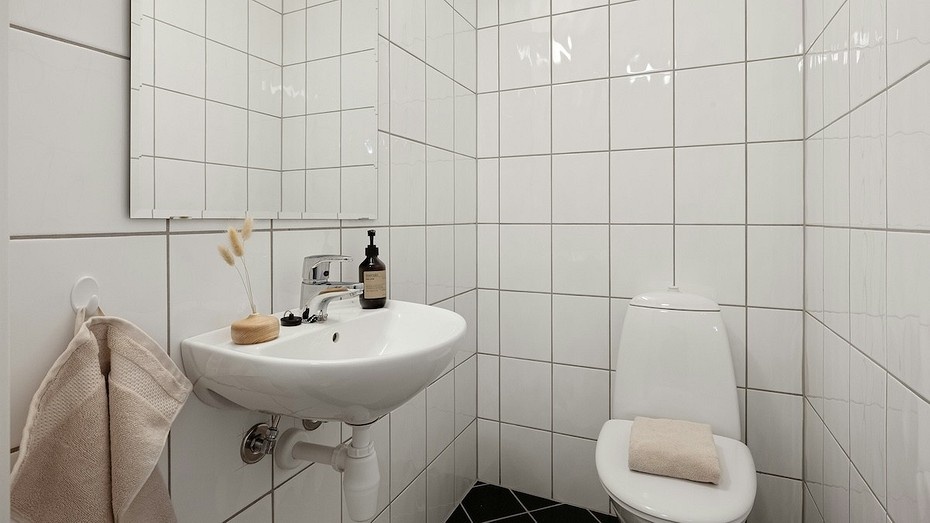 Запах канализации в туалете: 3 причины появления и эффективные способы борьбы с ним