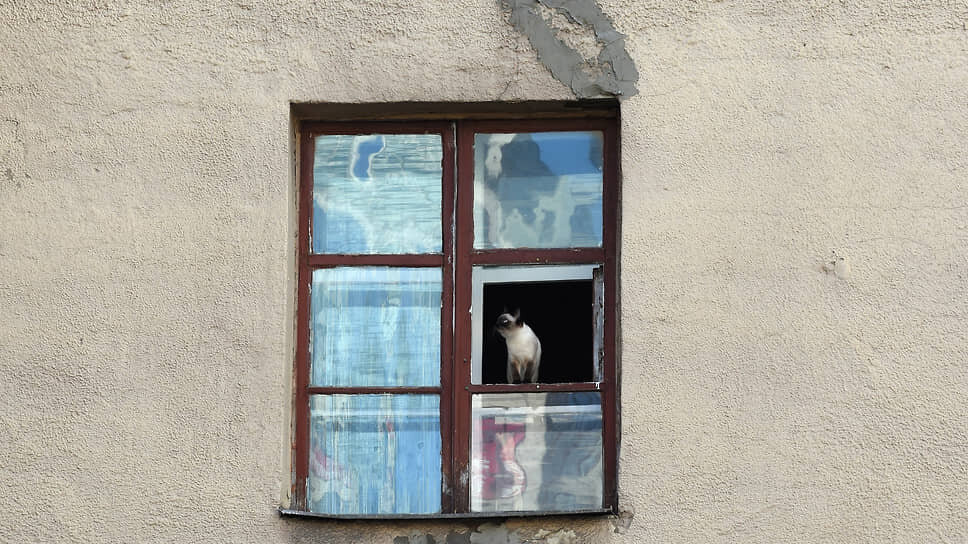 Фото: Дмитрий Духанин / Коммерсантъ