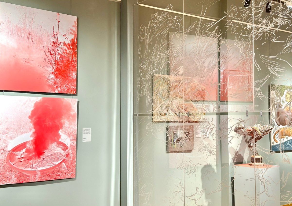    В Нижегородском художественном музее открылась выставка «Красная книга»