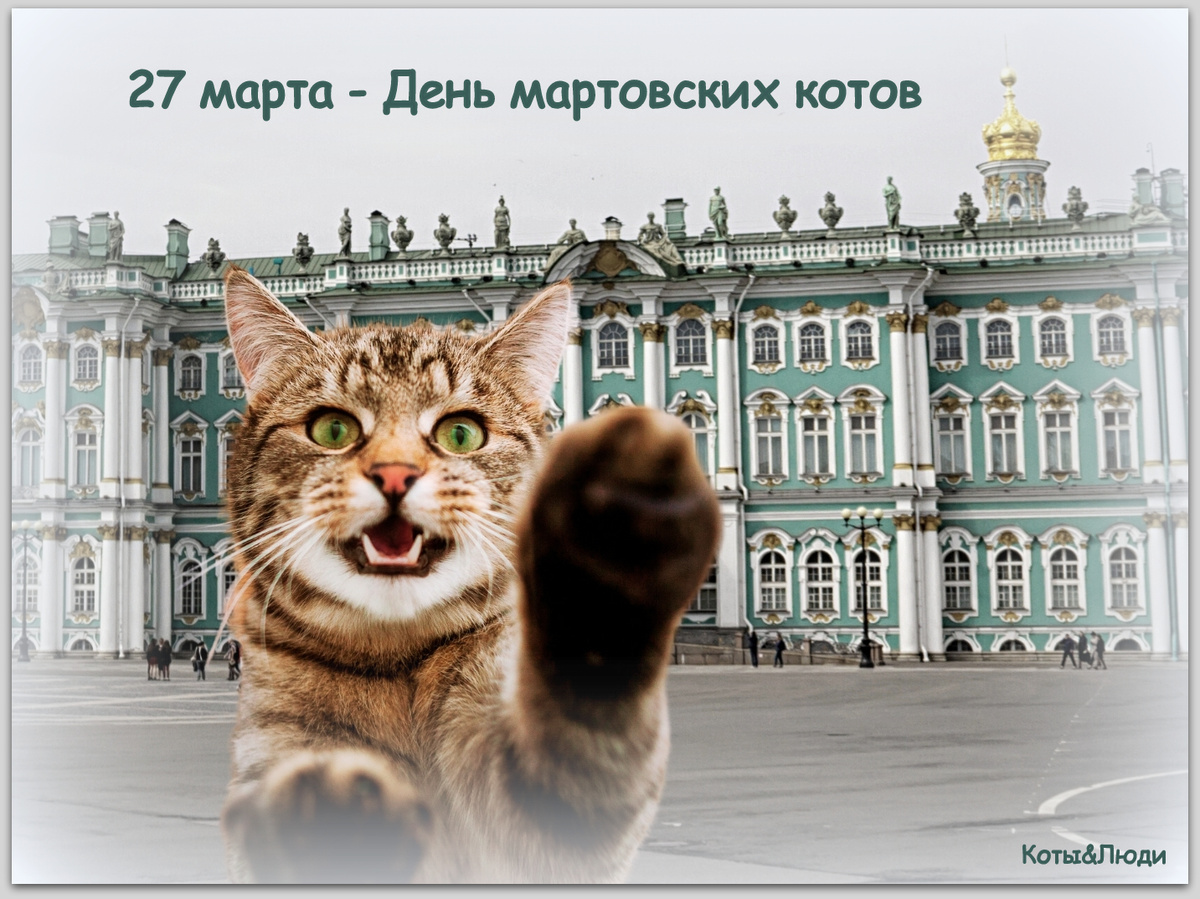 Коллаж автора. Источник фото: https://autosprite.ru/foto/pochemu-kotiy-simvol-sankt-peterburga