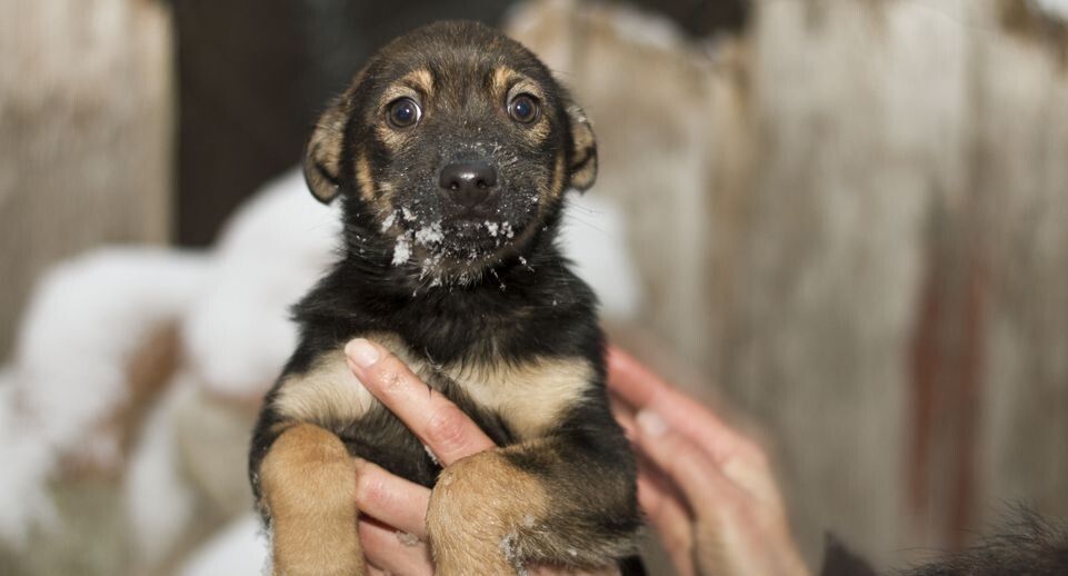    Медиасток.рф