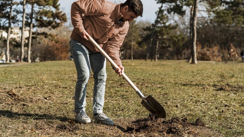 Источник: Freepik