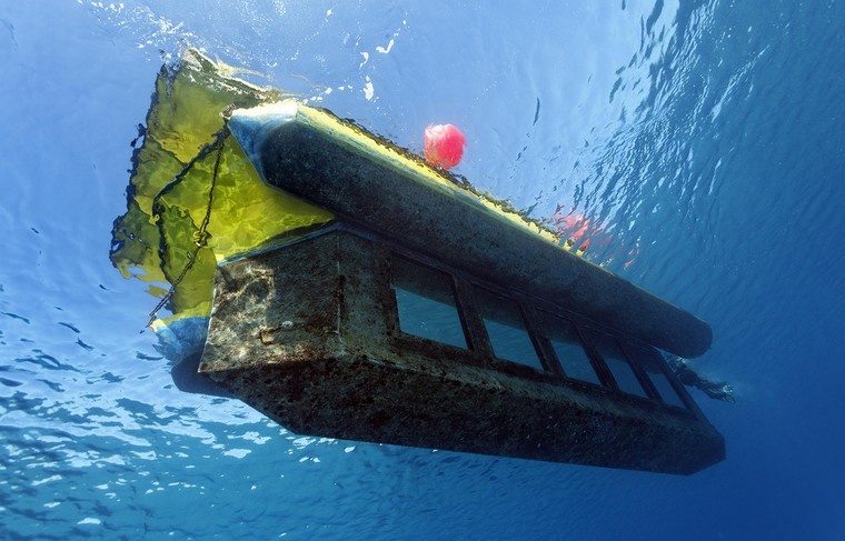    Norbert Probst/imageBROKER/Global Look Press