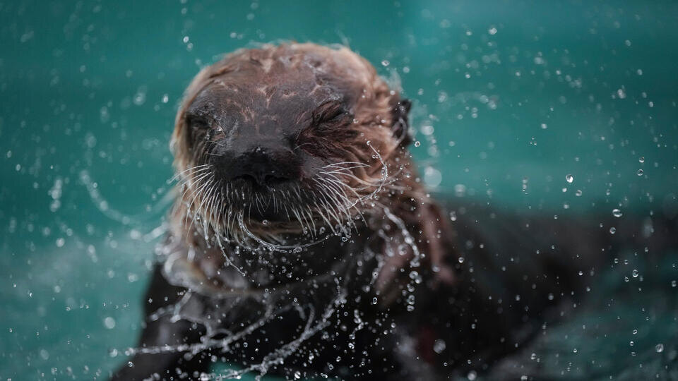 Фото: © AP/TASS
