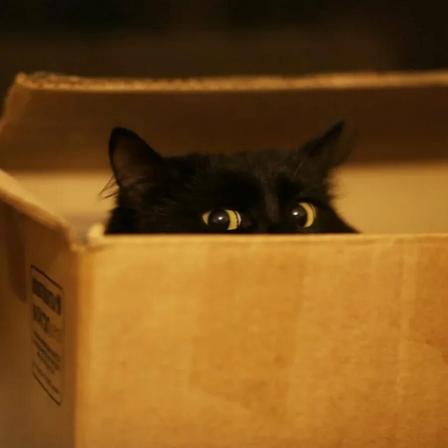 Источник фото Яндекс Картинки