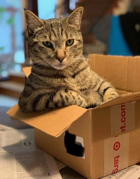 Источник фото Яндекс Картинки 