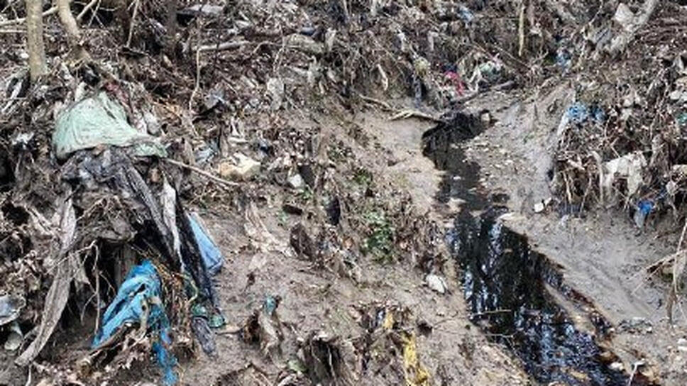 Фото: пресс-служба Южного управления Росприроднадзора