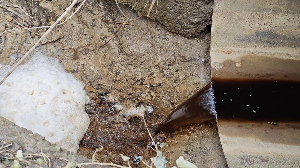 Фото: пресс-служба Южного управления Росприроднадзора