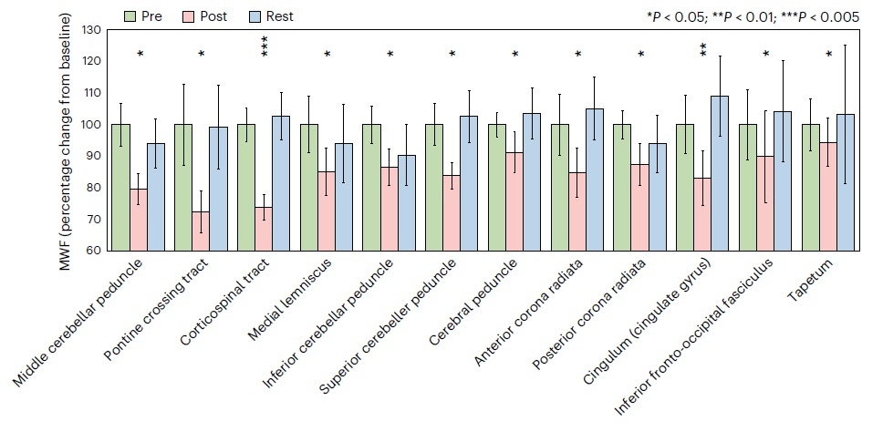   Ramos-Cabrer et al. / Nature Metabolism, 2025
