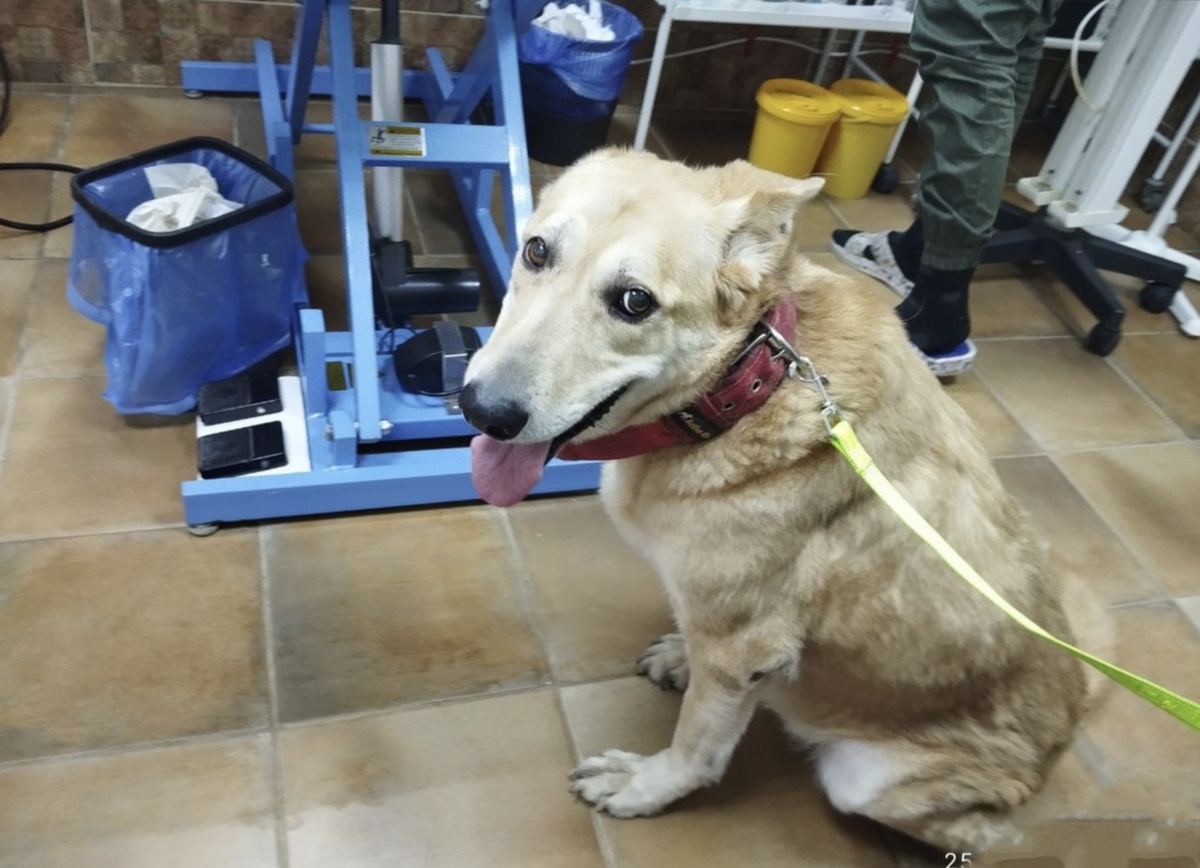 Наша  милая " бабушка"