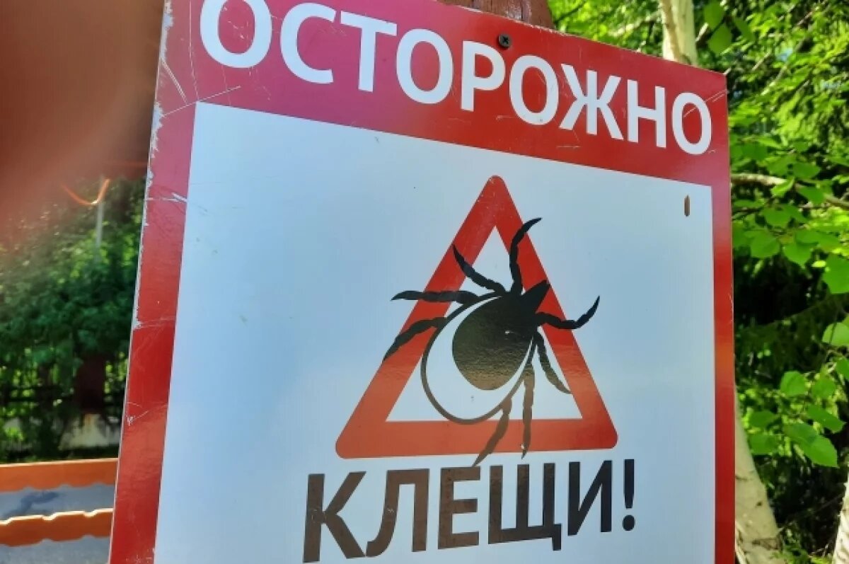    Первые два случая укусов клещей в этом году зарегистрировали в Бурятии