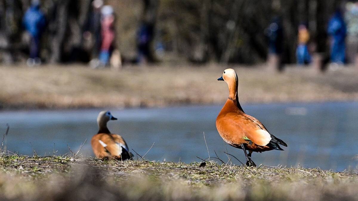    Фото: Сергей Киселев / АГН Москва