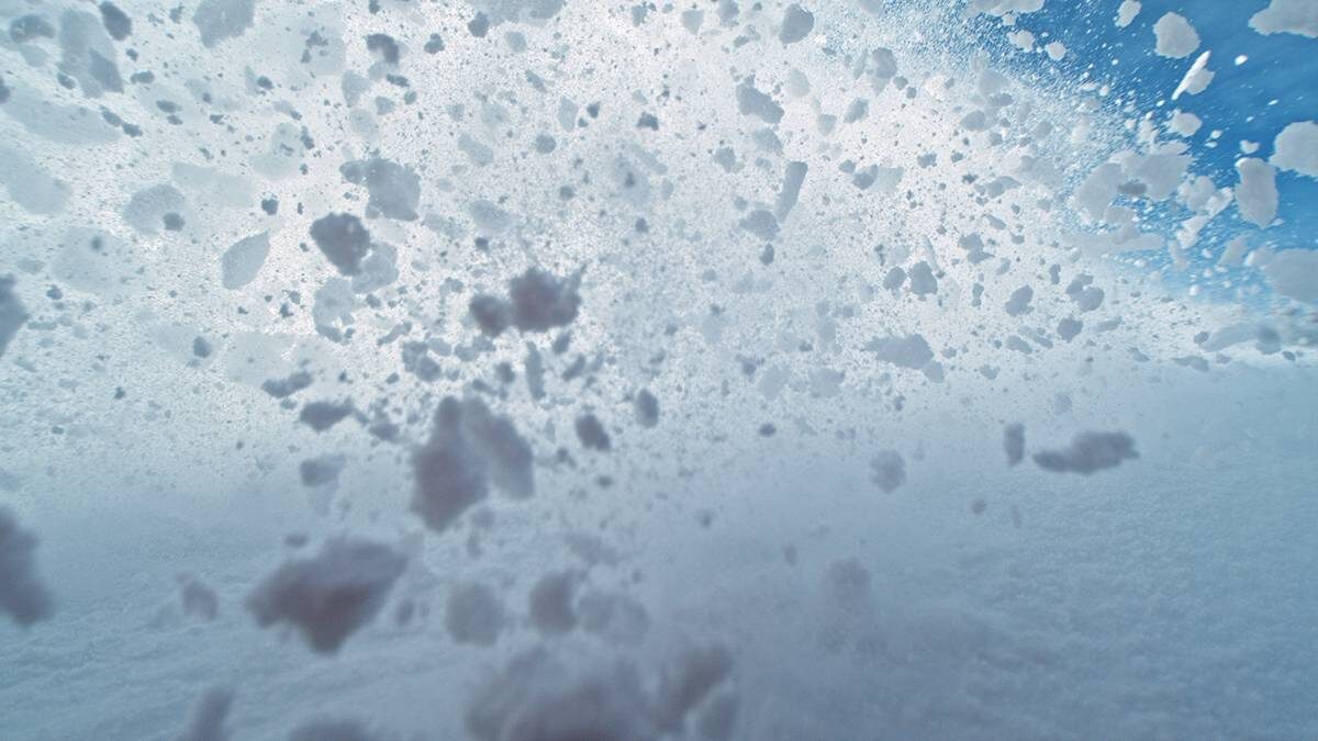    Фото: Shutterstock