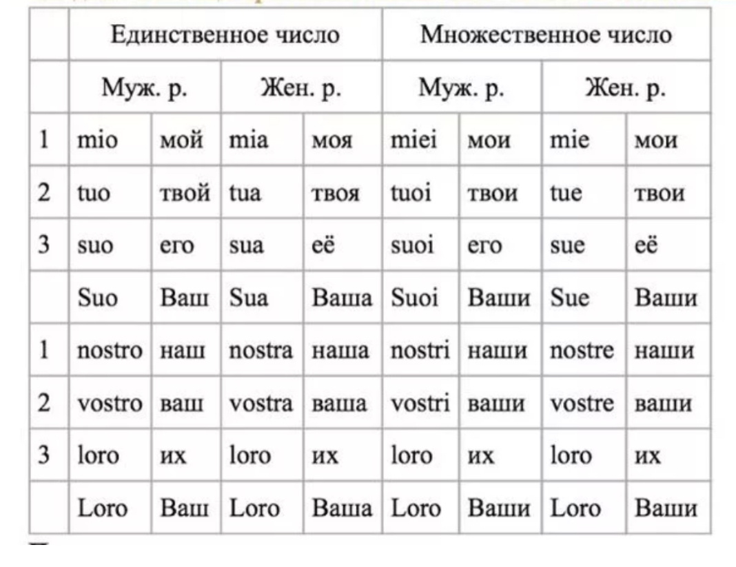 Таблица.  Основные притяжательные местоимения 