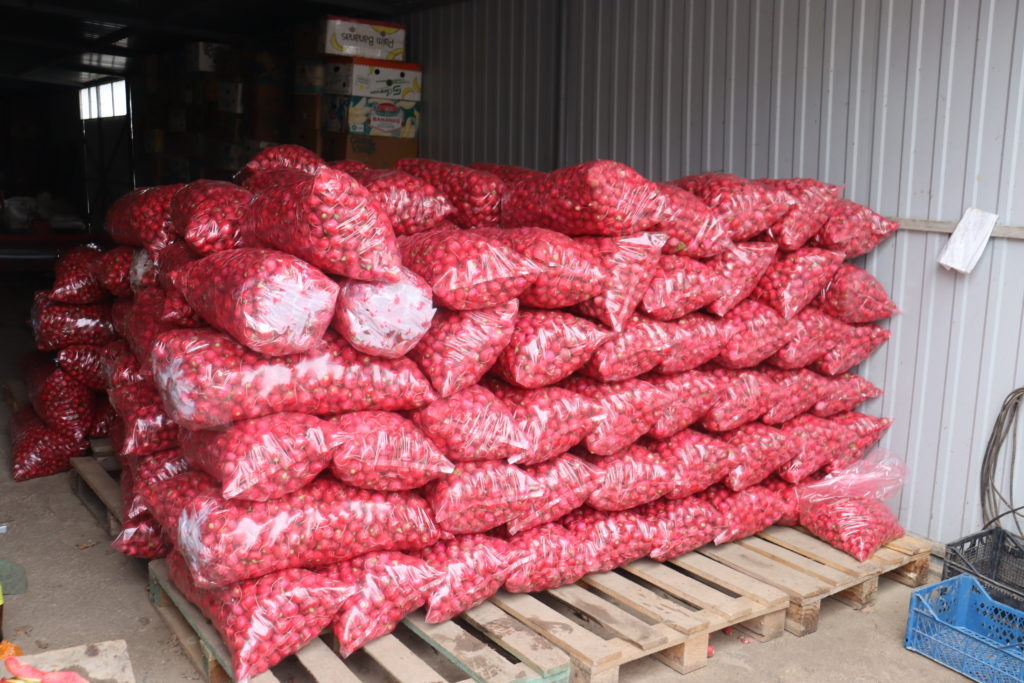     После сбора ботву редиса срезают, редис моют и упаковывают в мешки. Товар готов к реализации.