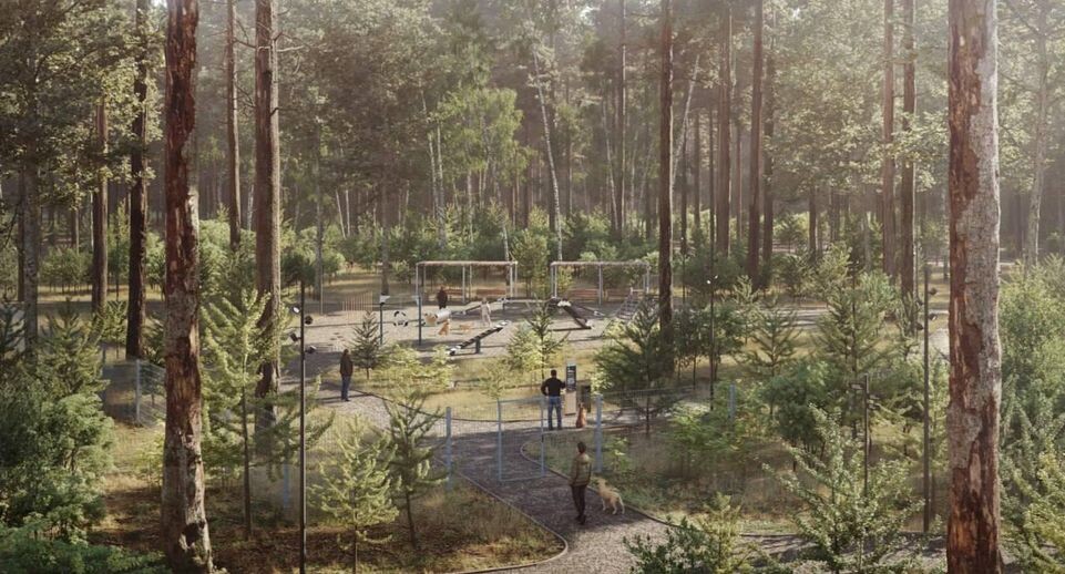    Администрация Орехово-Зуевского г.о.