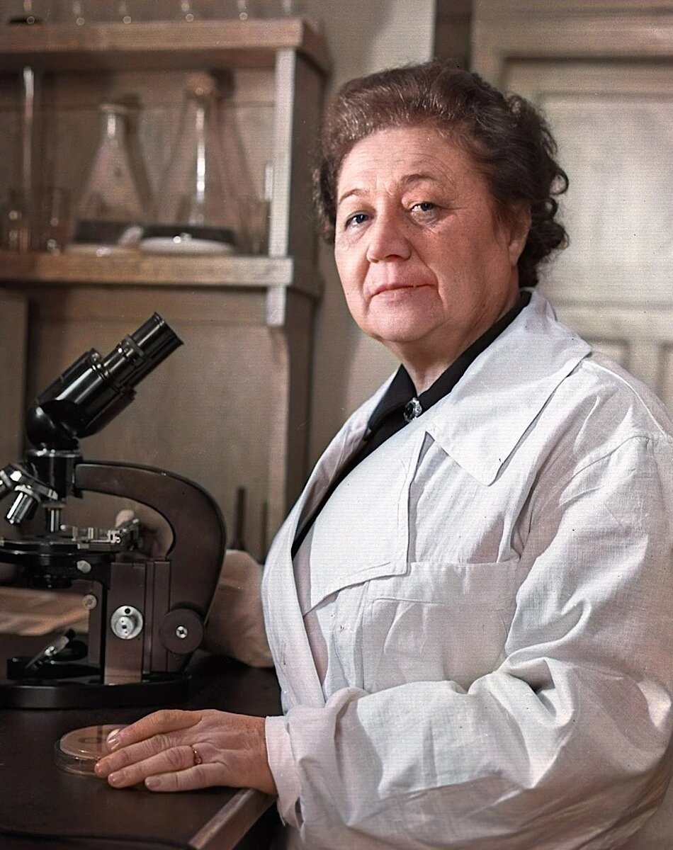 Зинаида Виссарионовна Ермолаева