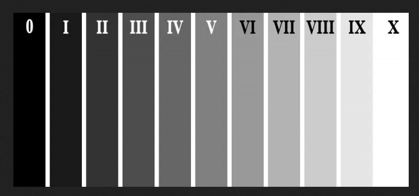 11 яркостных зон, от 0 до 10.